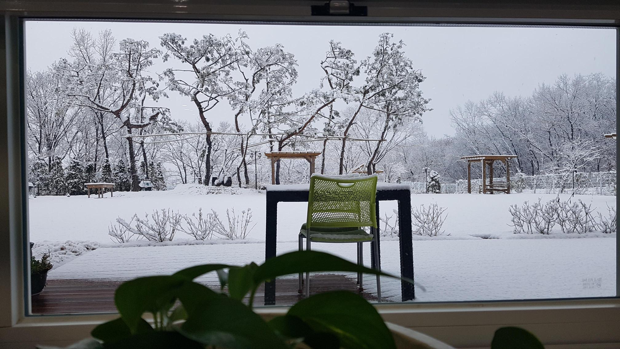 드림요양원 이미지 10