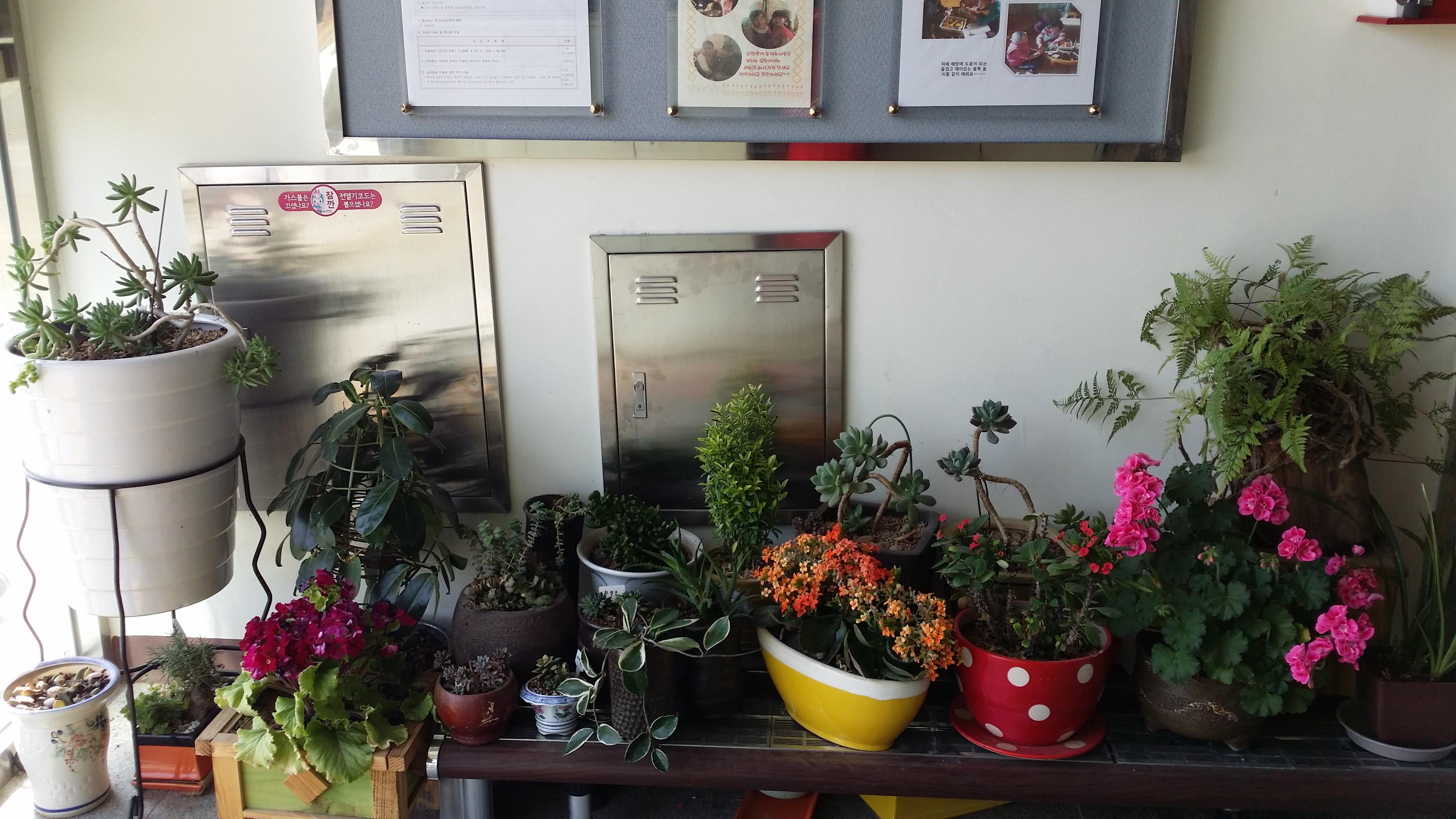 효사랑고향의집 이미지 3