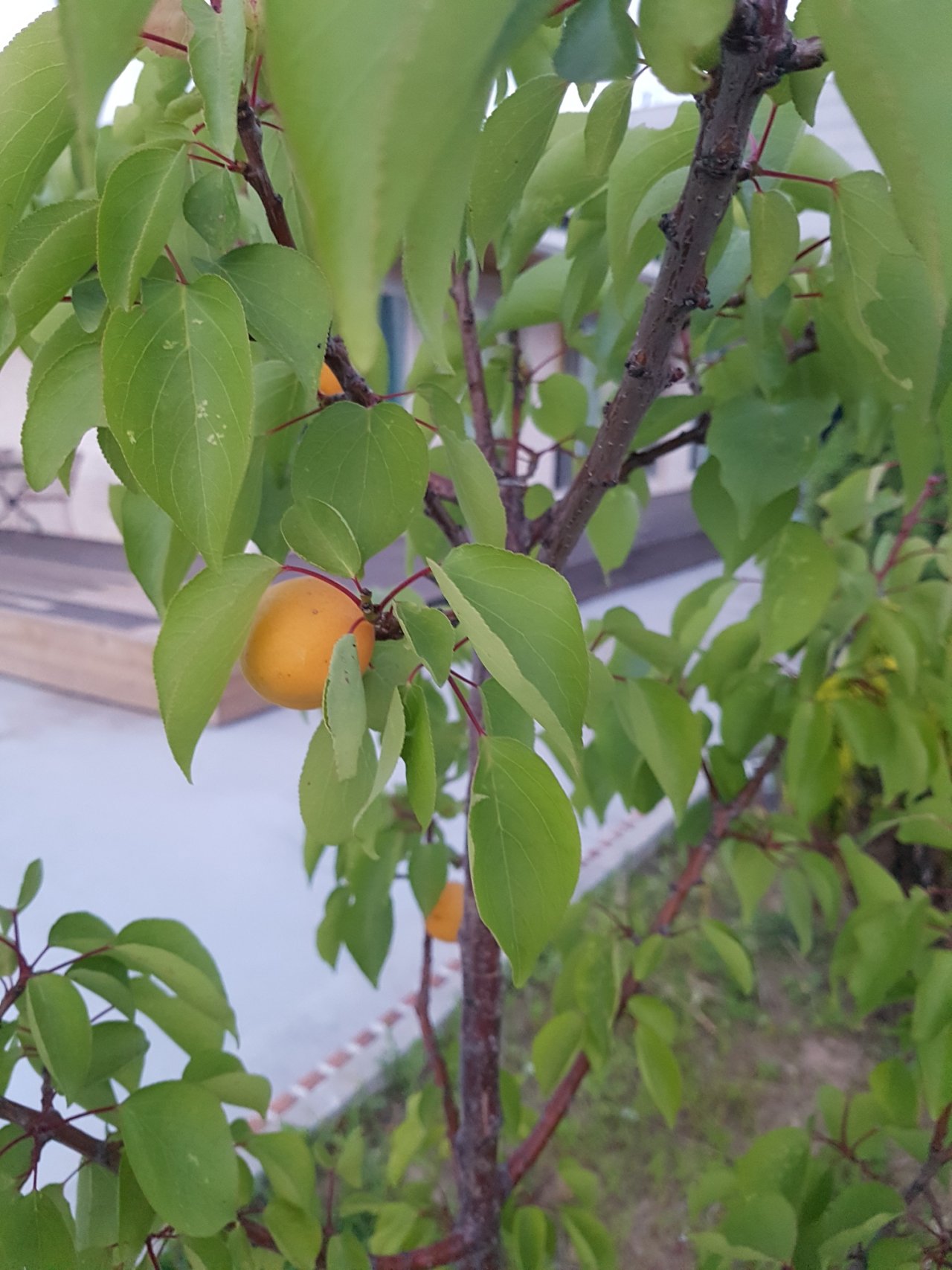 행복요양원 이미지 2