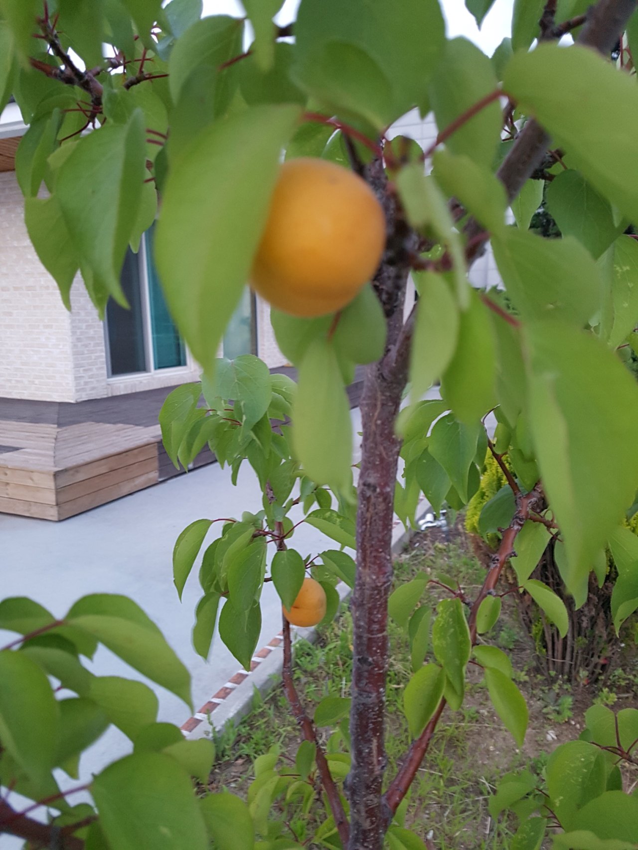 행복요양원 이미지 3