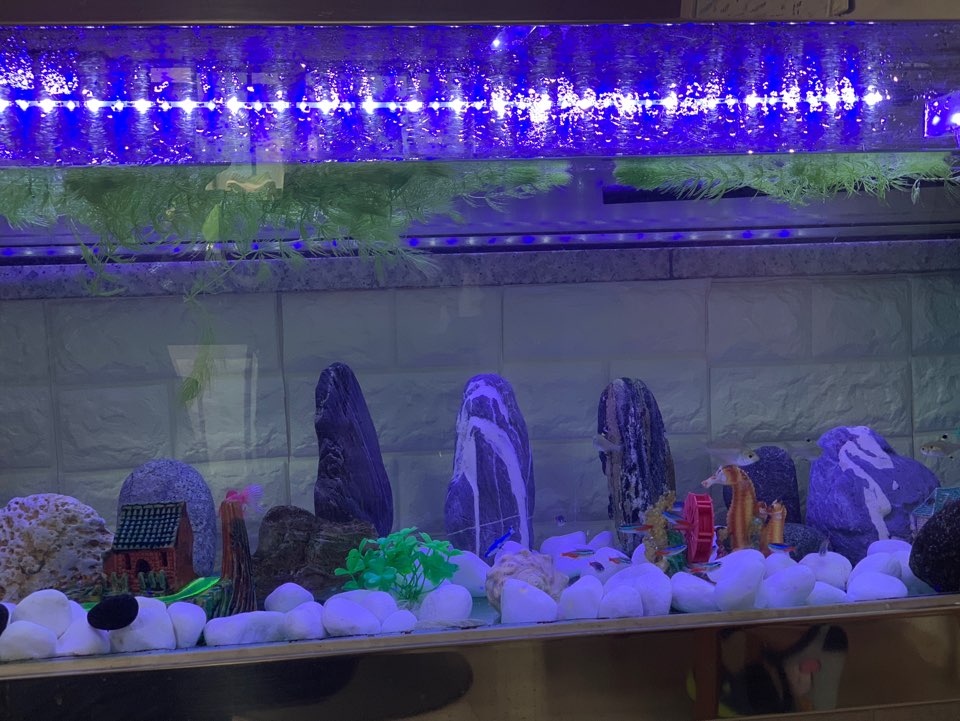 시온노인요양원