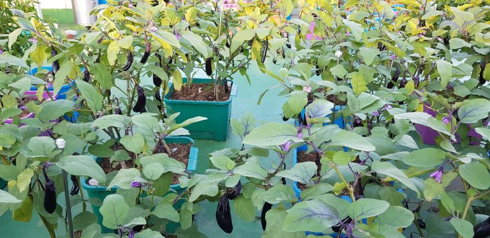 수요양원 이미지 13