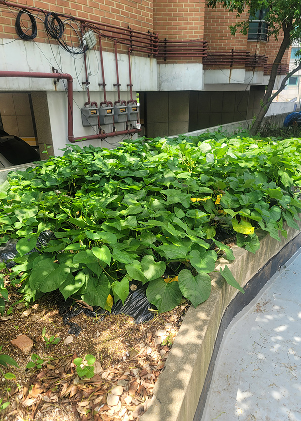 수요양원 이미지 12