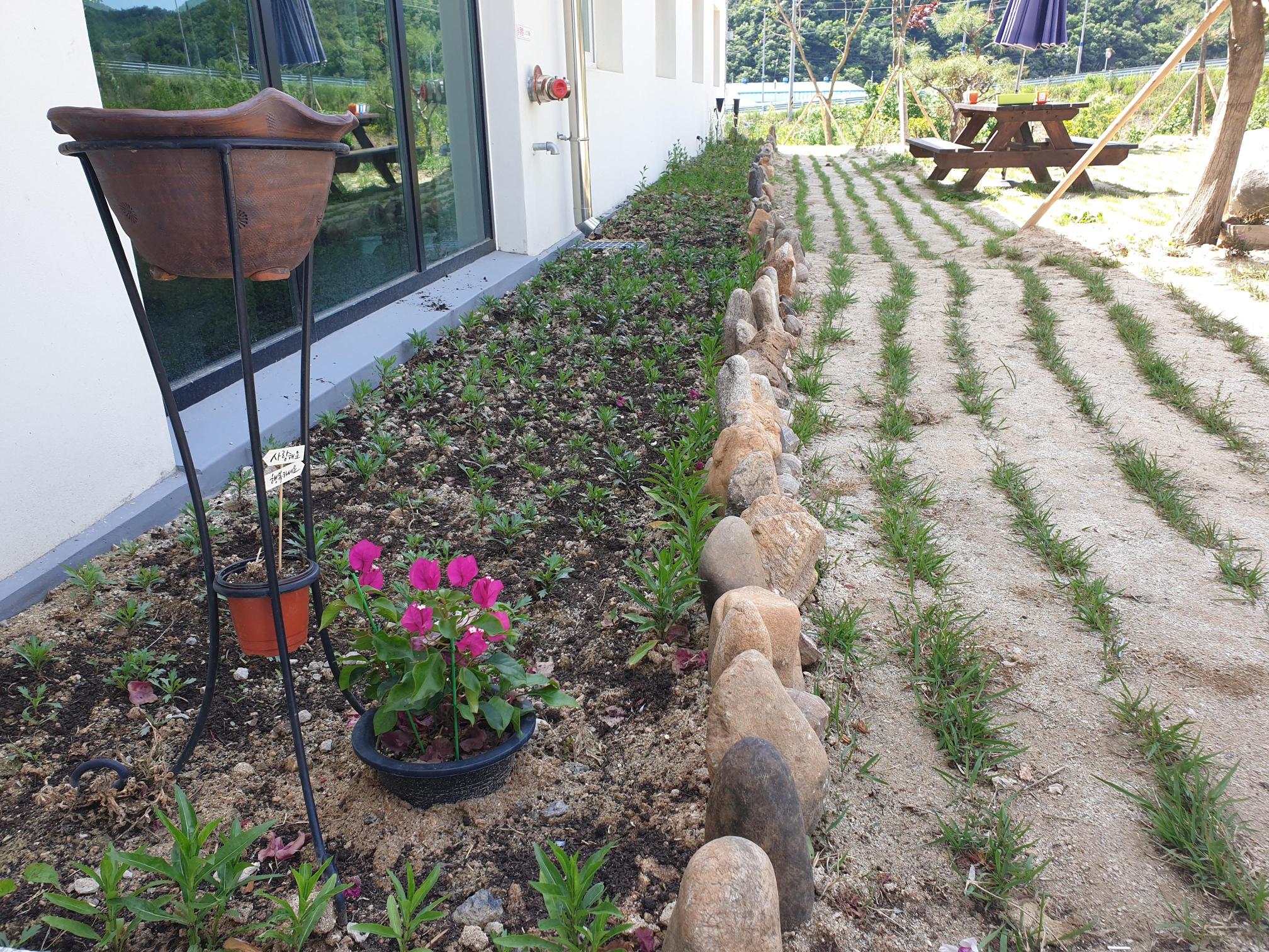 본정노인요양원 이미지 2