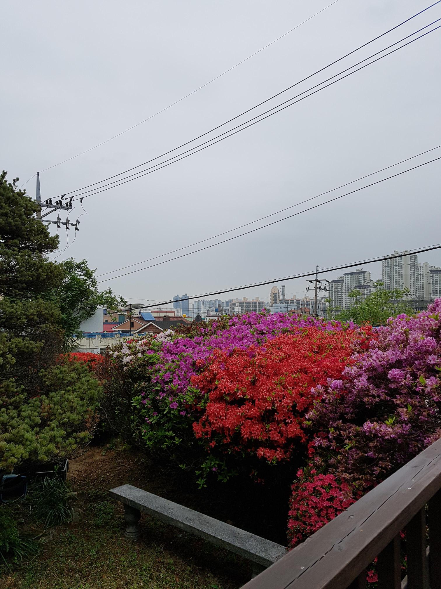 보문현대실버홈 이미지 8