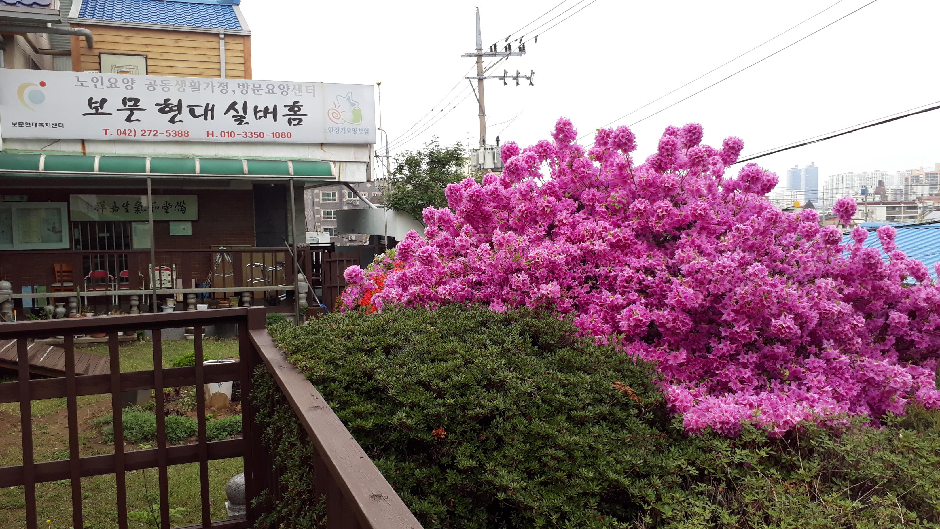 보문현대실버홈 이미지 6