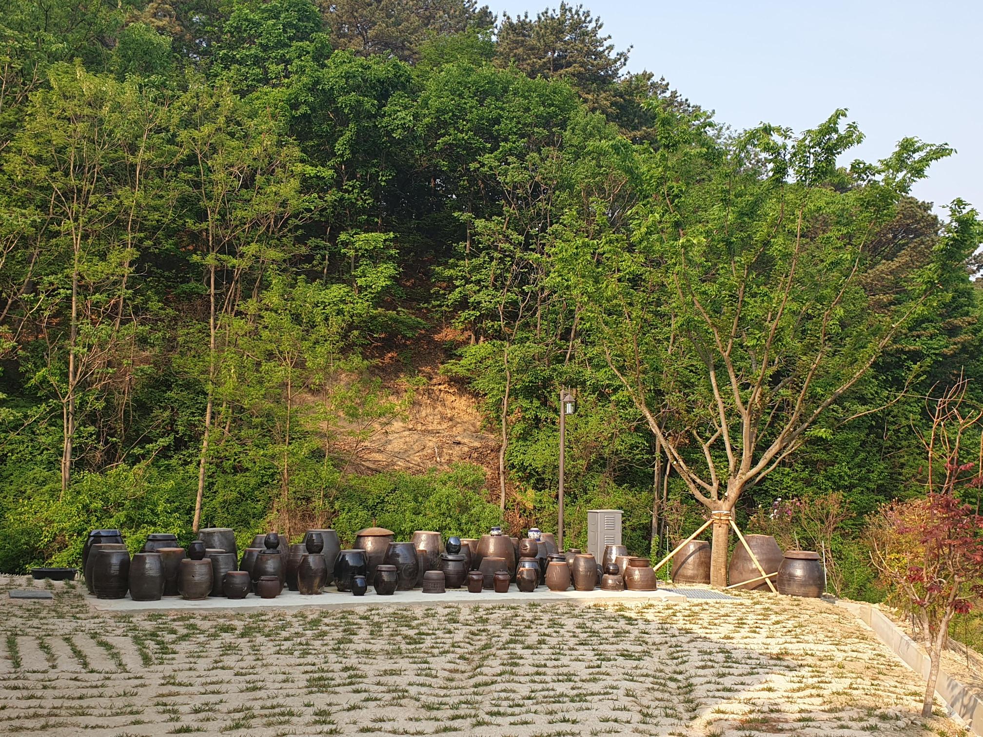 본정노인요양원 이미지 4