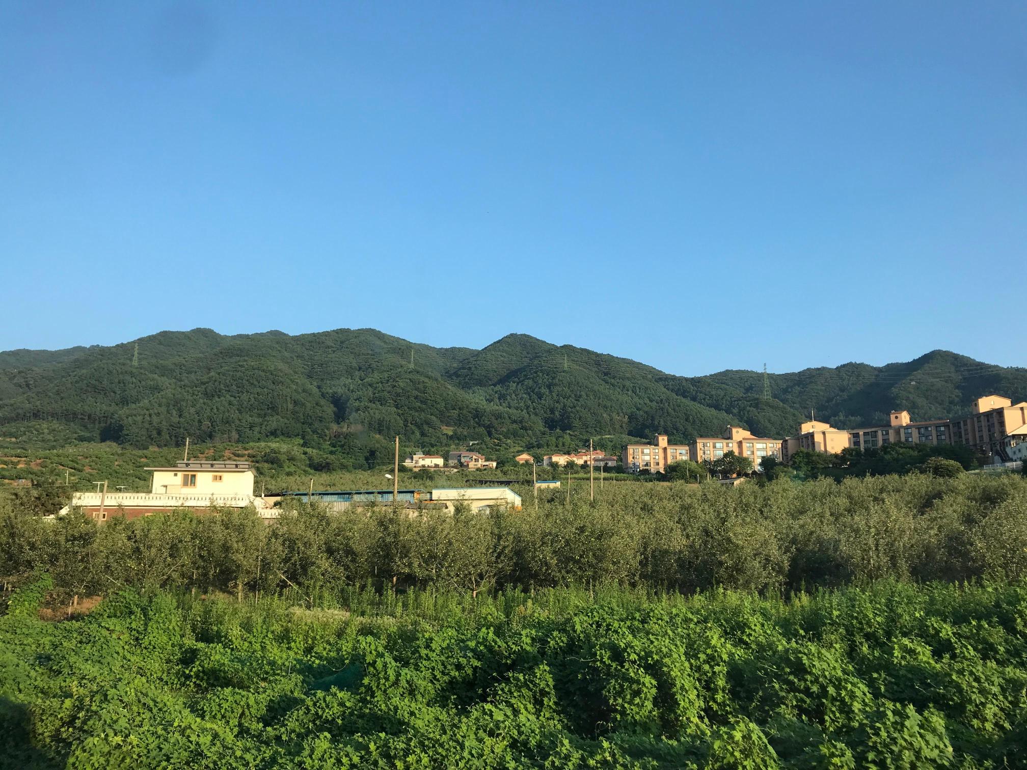 안림요양원 이미지 11