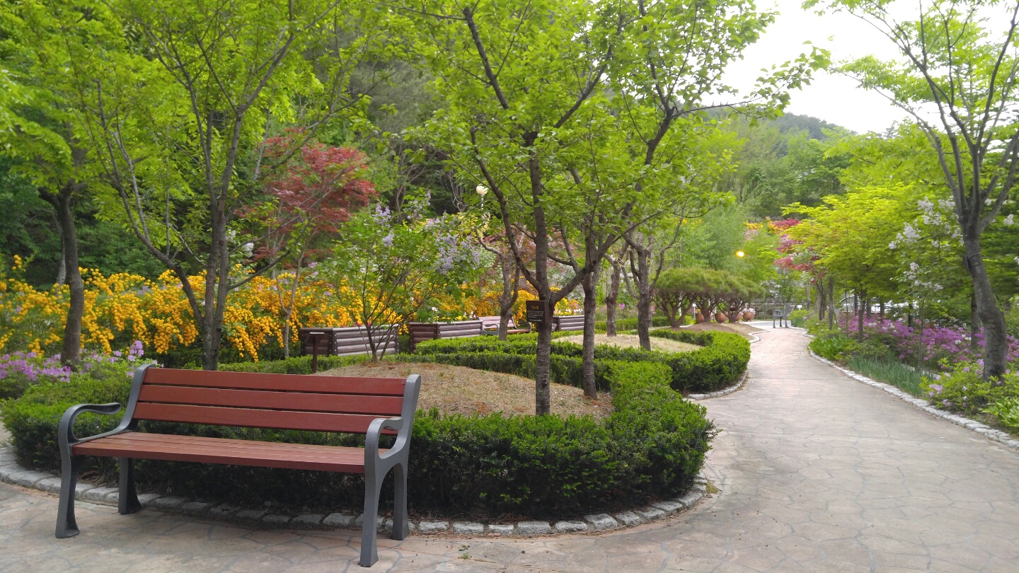 태백노인전문요양원 이미지 4