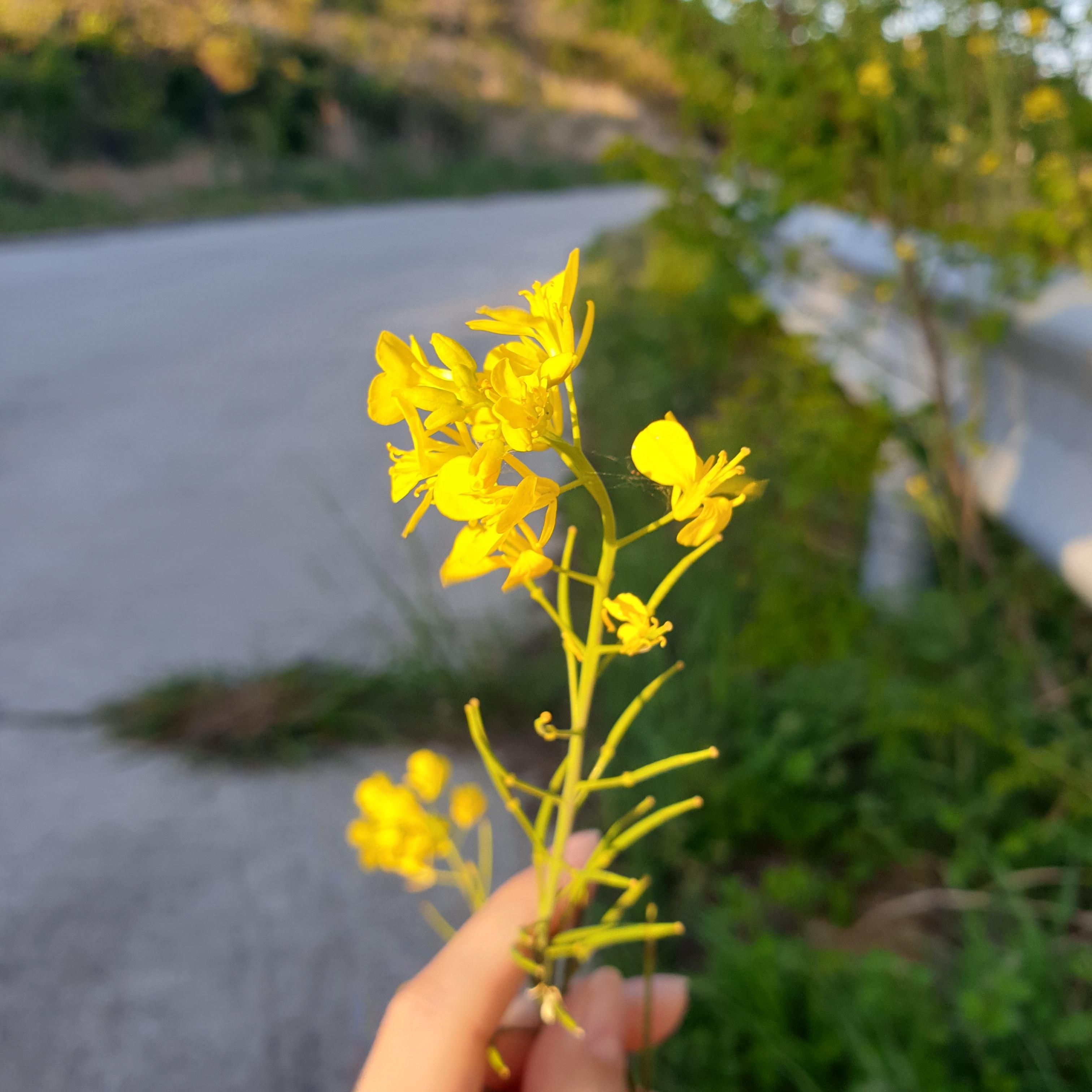 비금노인요양공동생활가정 이미지 4