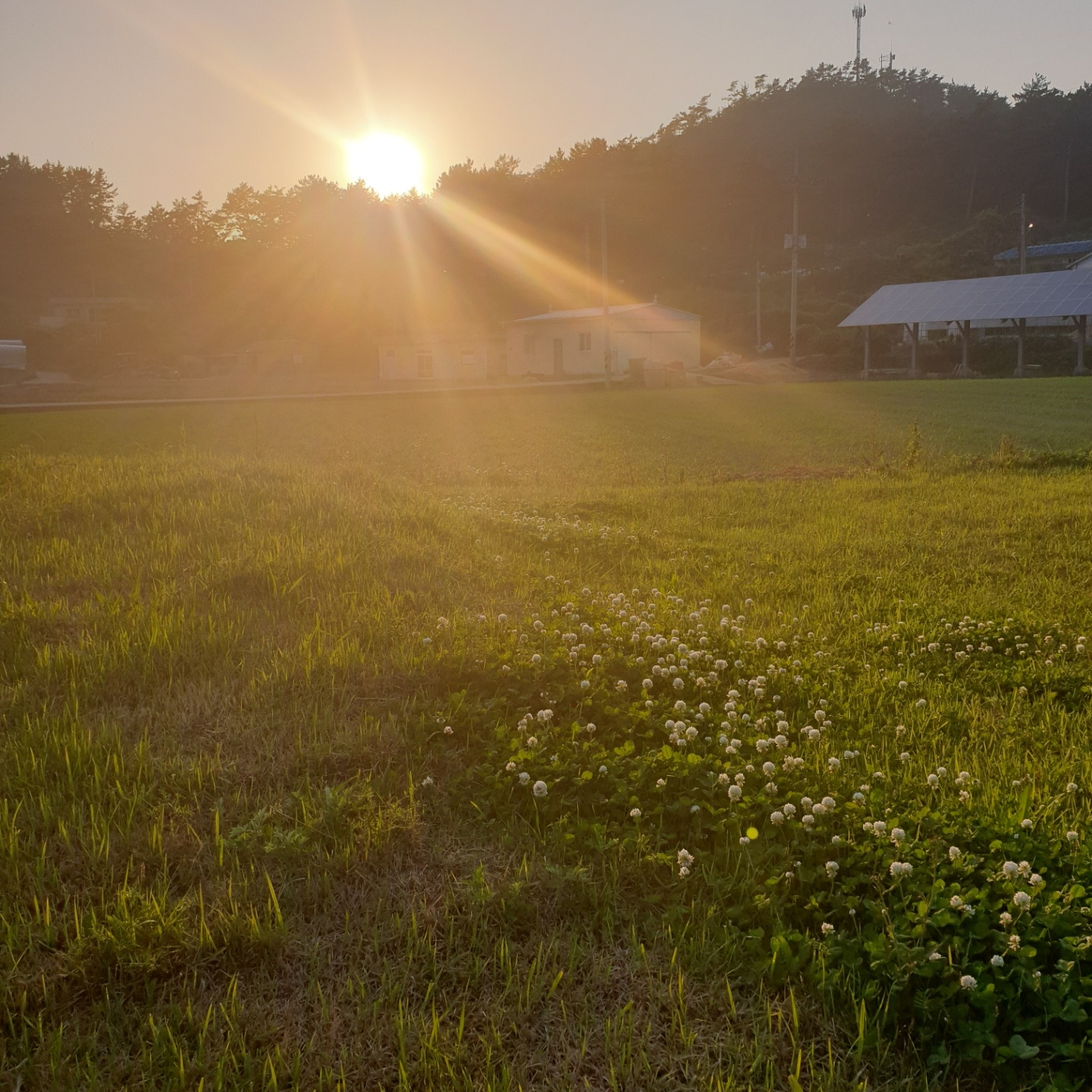 비금노인요양공동생활가정 이미지 3
