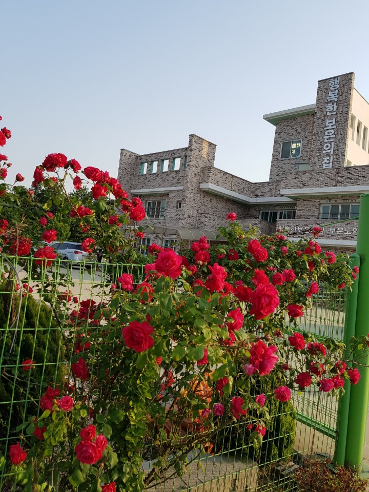 행복한보은의집 이미지 2