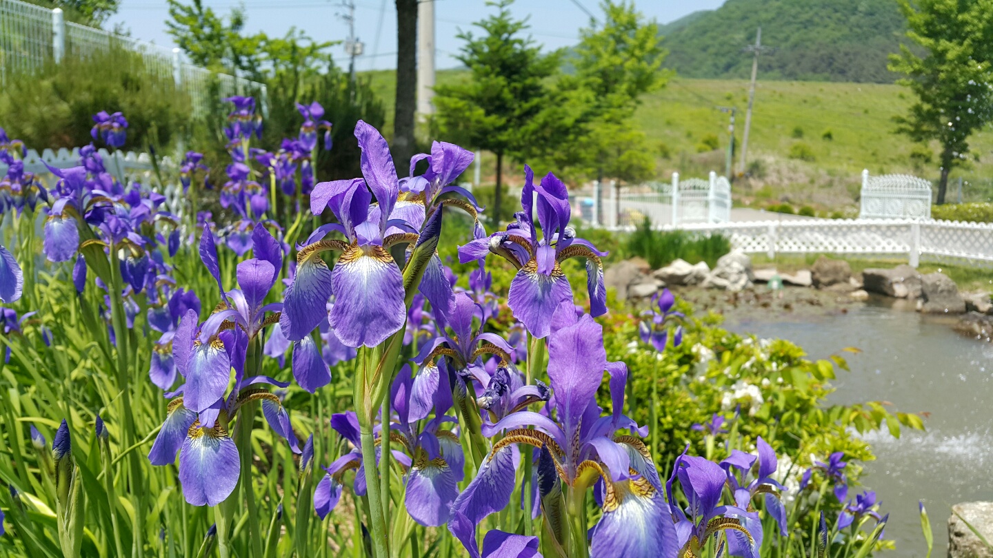 너브내노인전문요양원 이미지 11