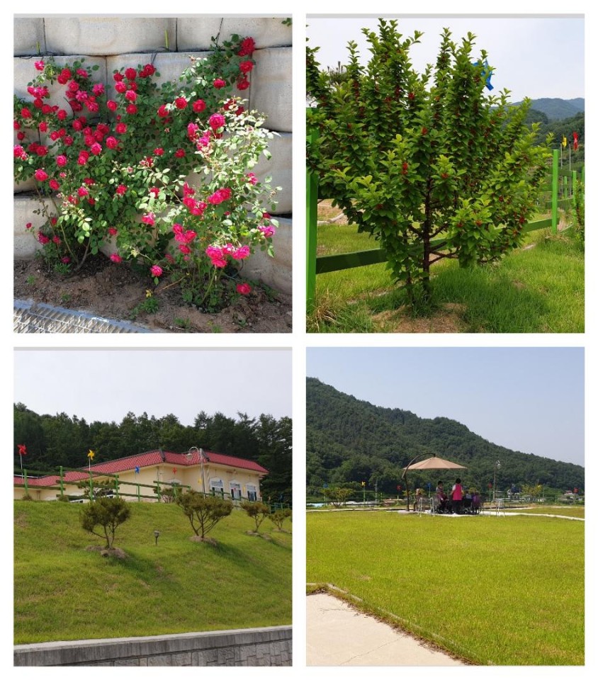 보금자리요양원 이미지 5