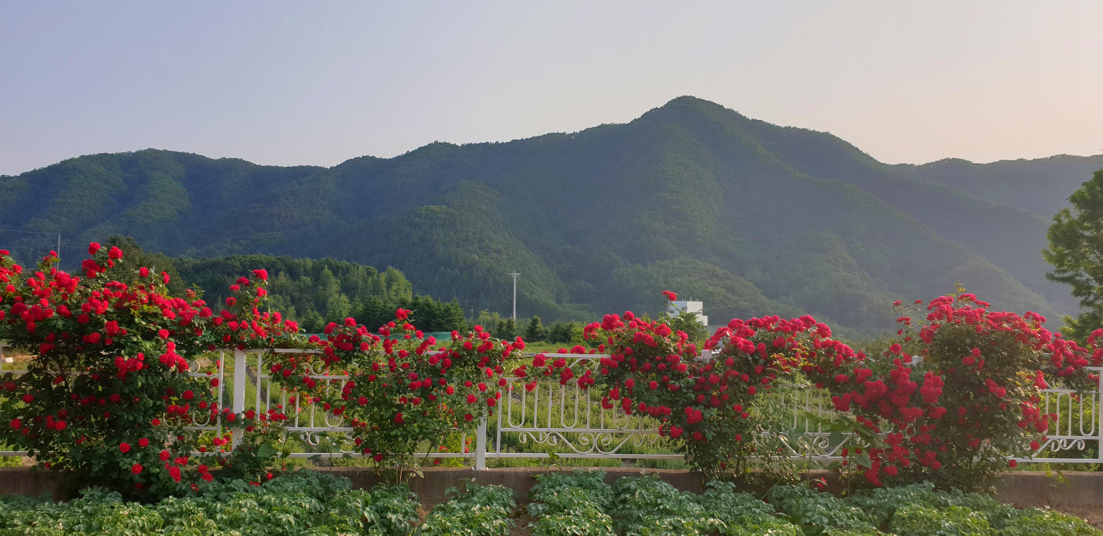 샬롬하우스요양원 이미지 7