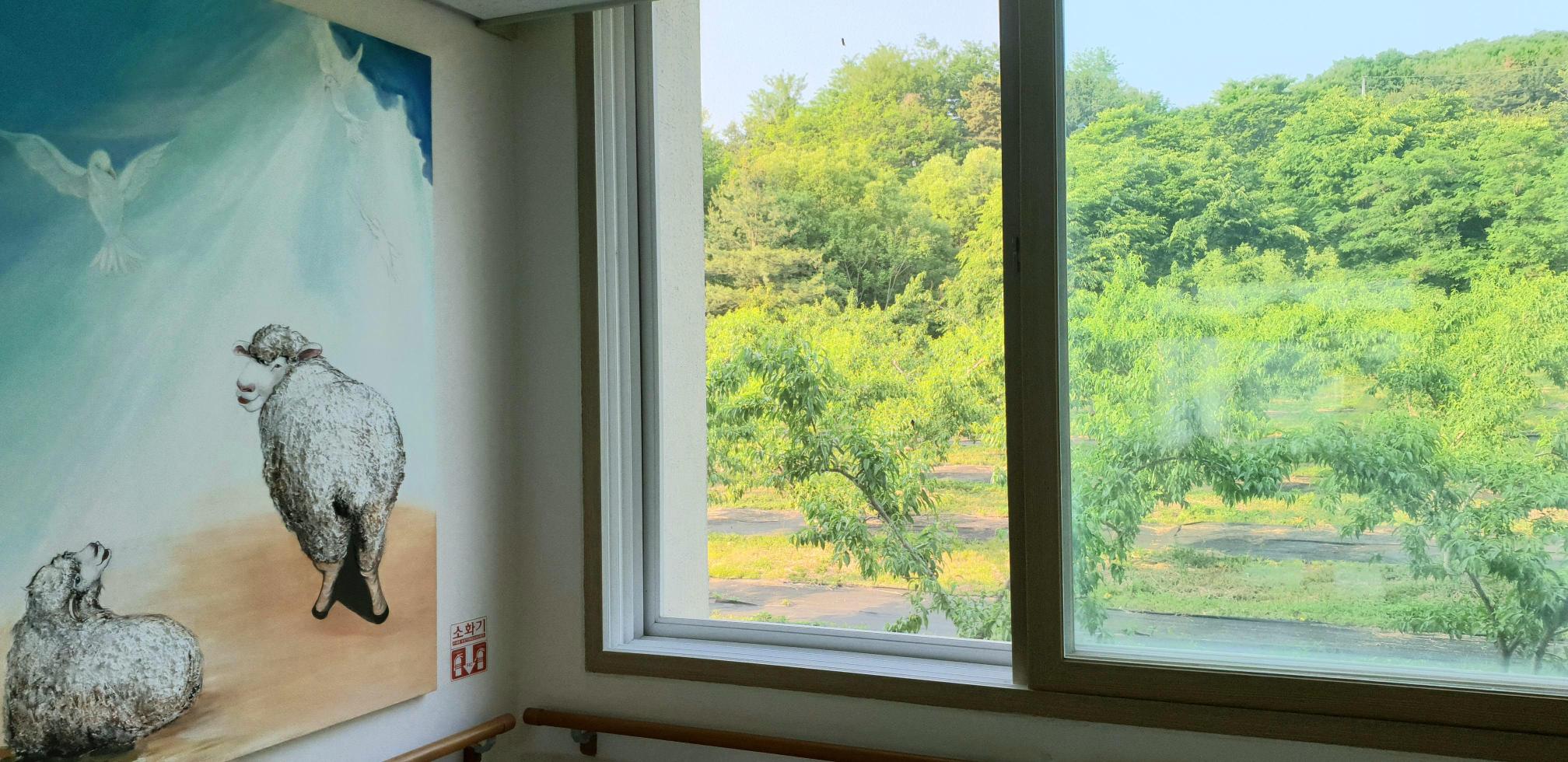 샬롬하우스요양원 이미지 15