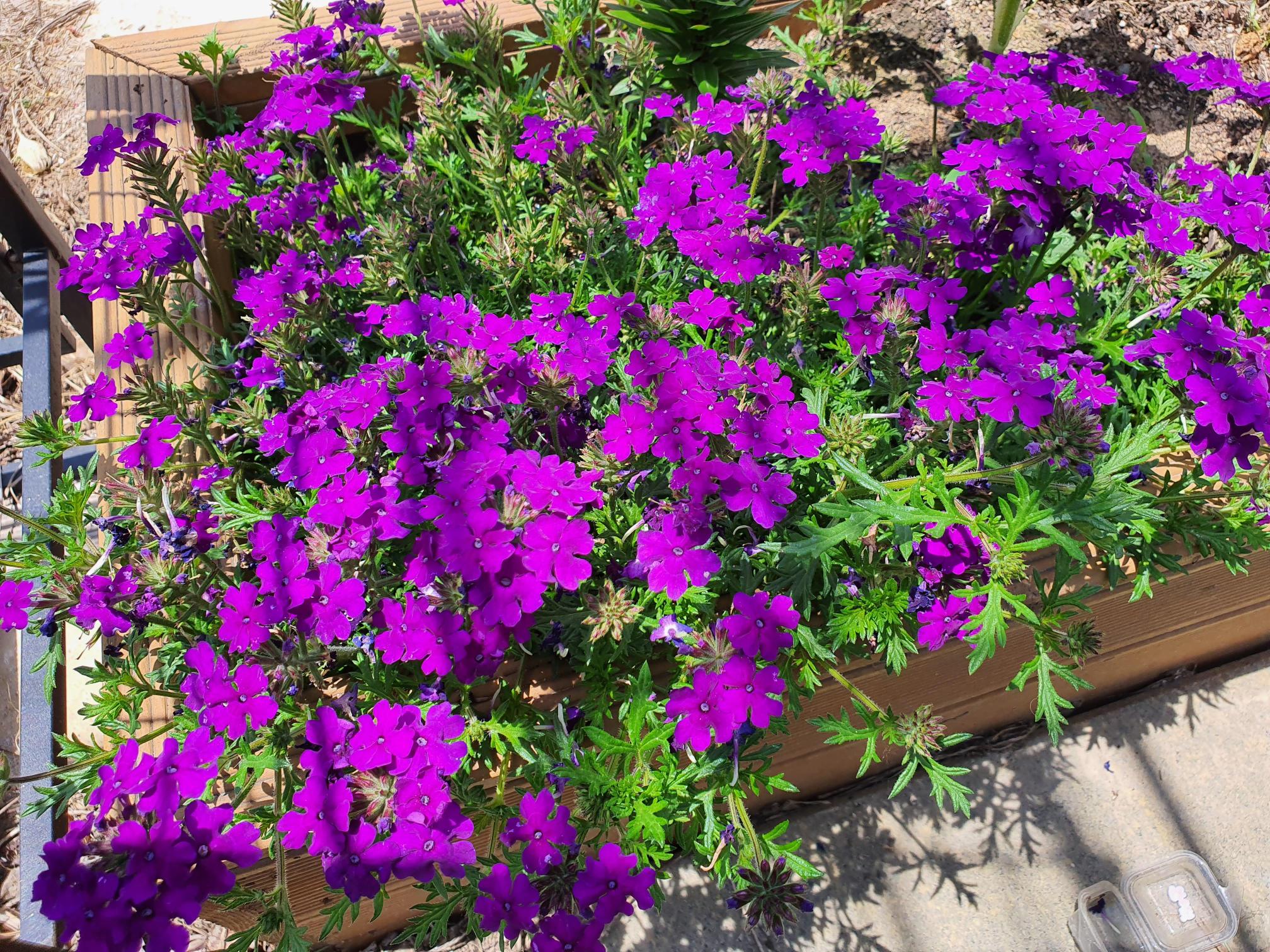 한결요양원 이미지 4