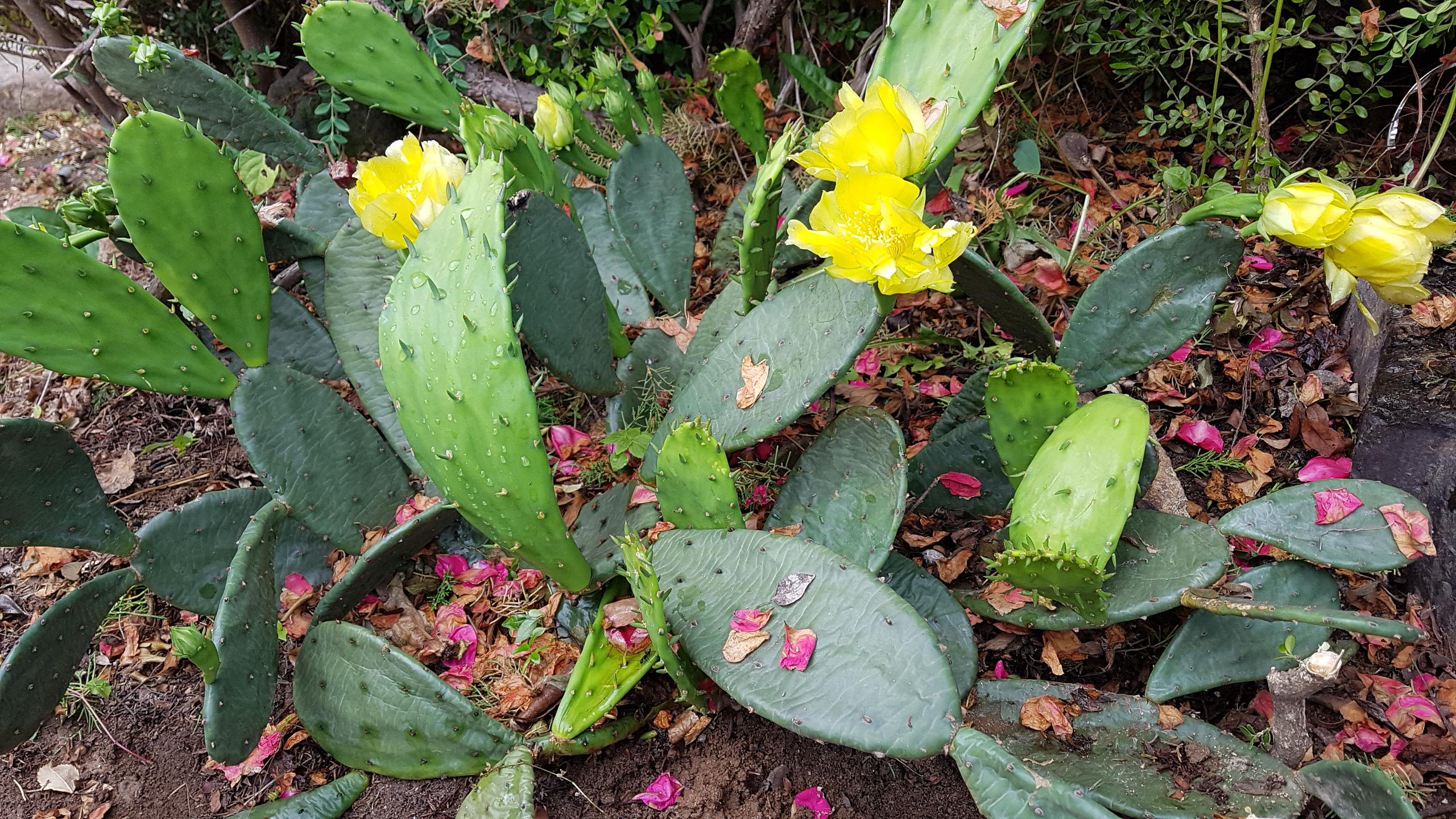 보문현대실버홈 이미지 4