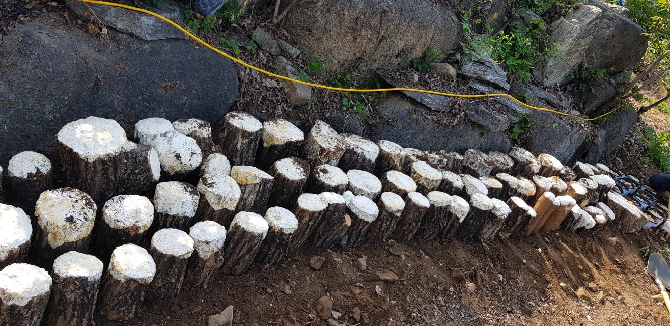 천사의집 이미지 14