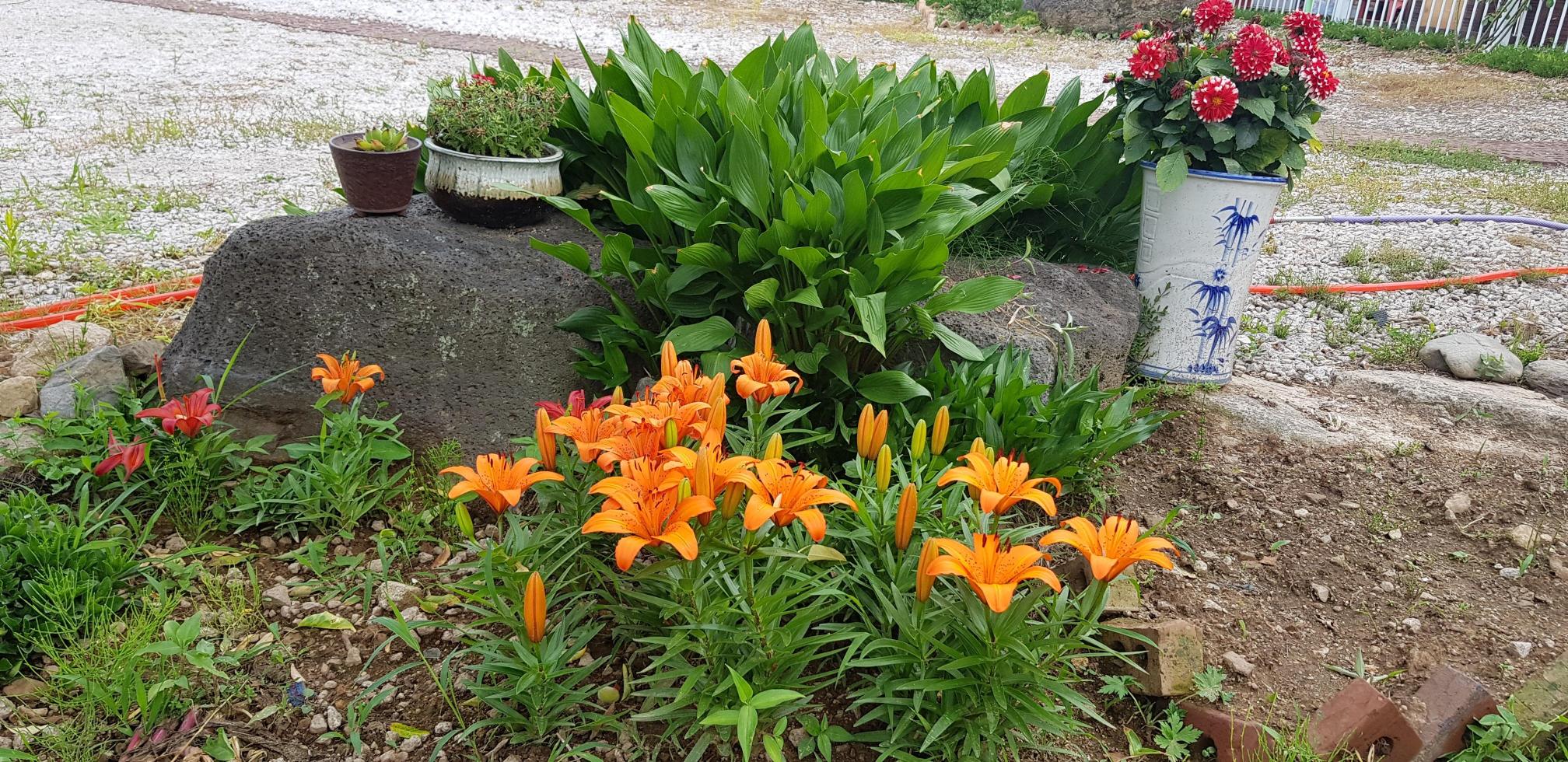 천사의집 이미지 13