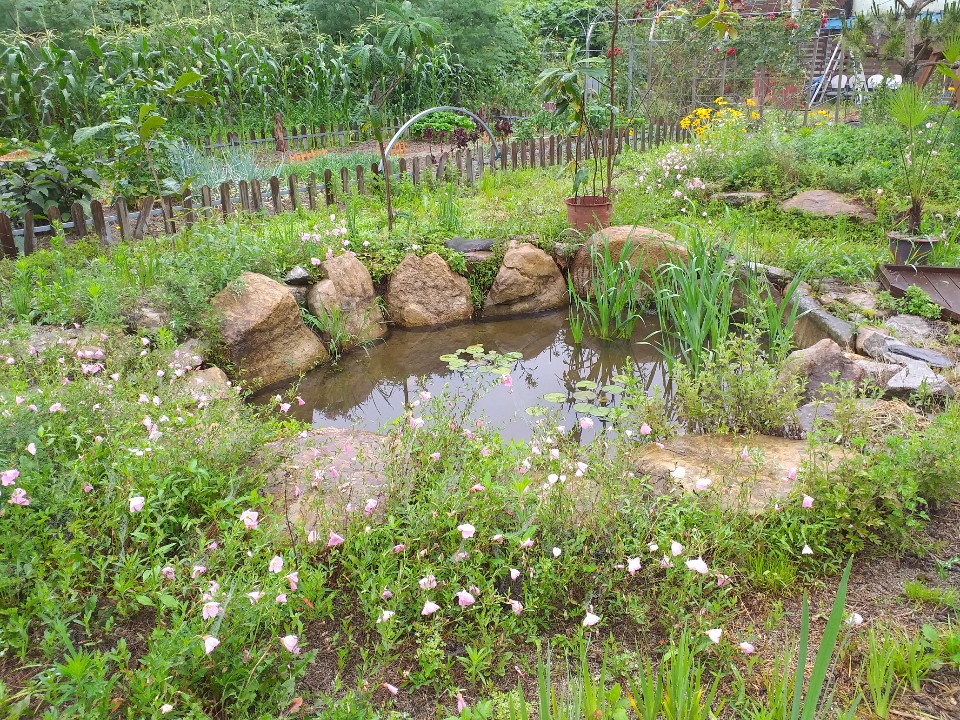 임마누엘동산요양원 이미지 10