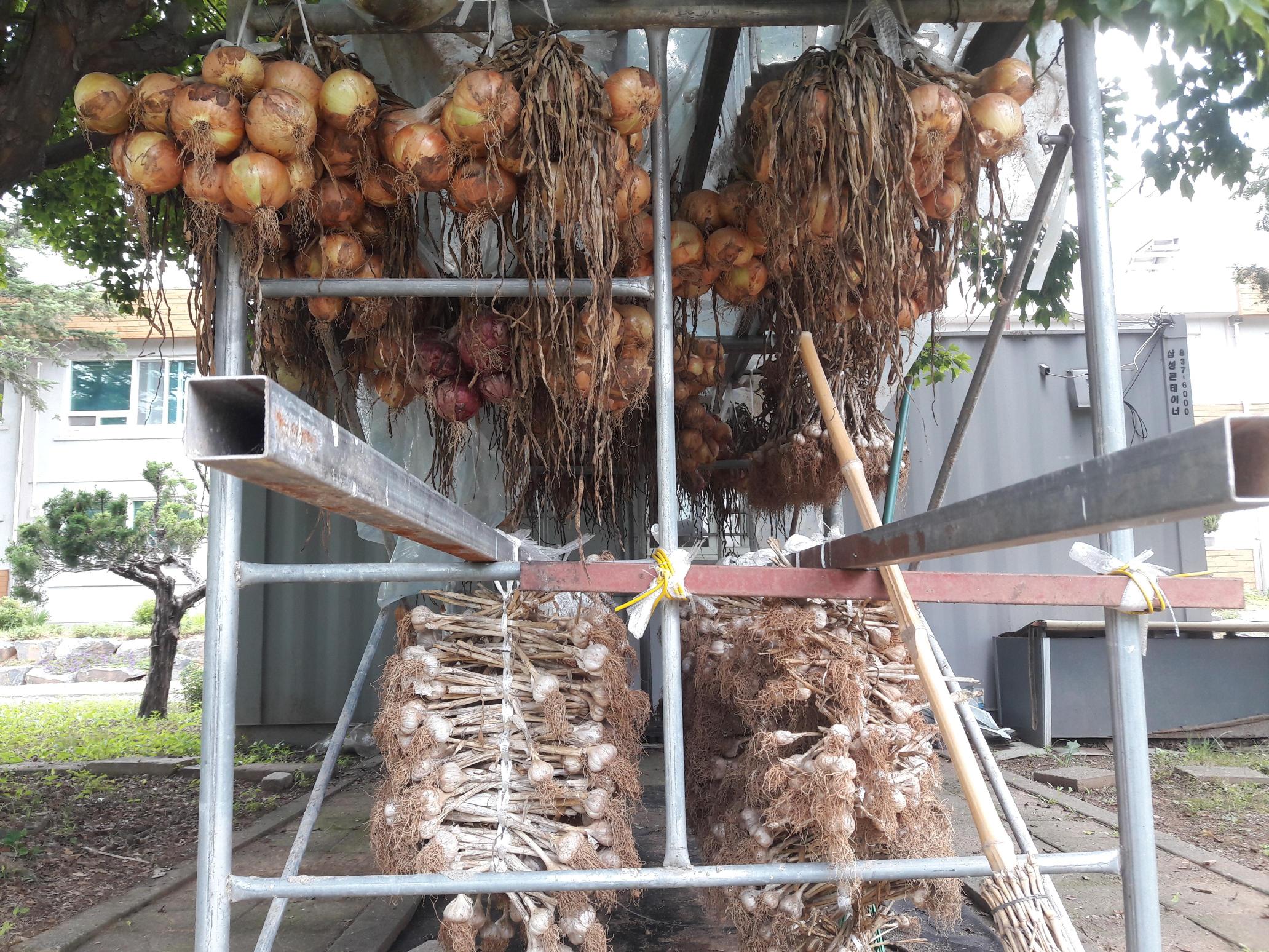 예사랑실버웰 이미지 4