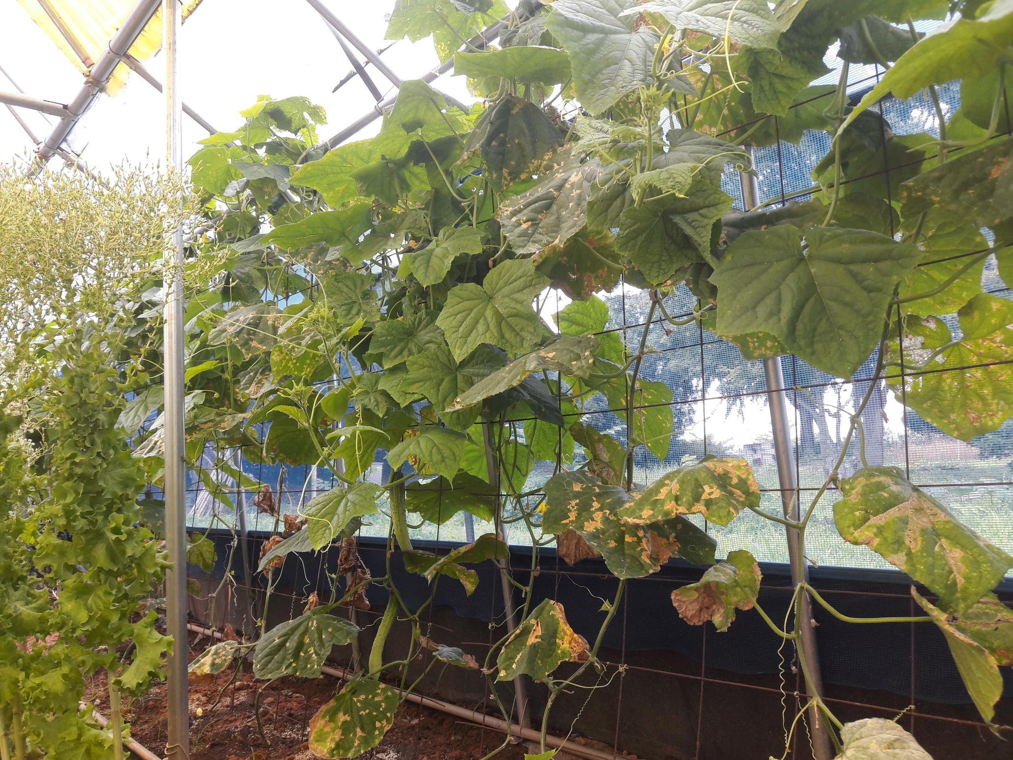 예사랑실버웰 이미지 3