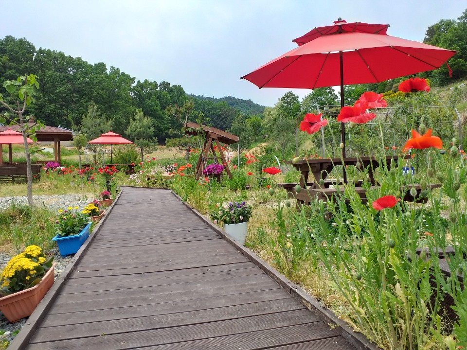 임마누엘동산요양원 이미지 12