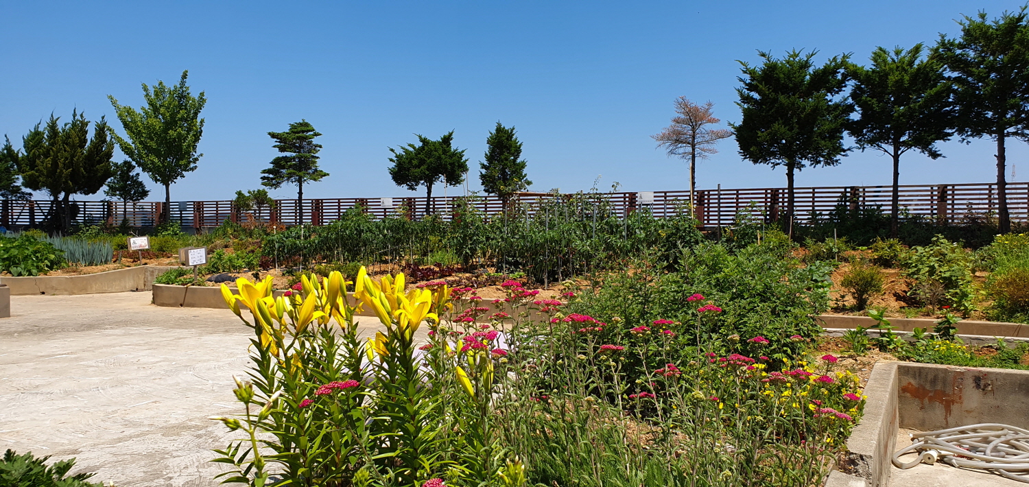 영종국제도시 믿음요양원 이미지 7