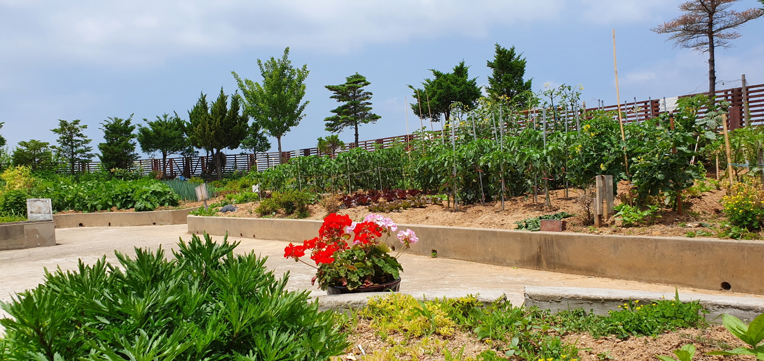 영종국제도시 믿음요양원 이미지 6