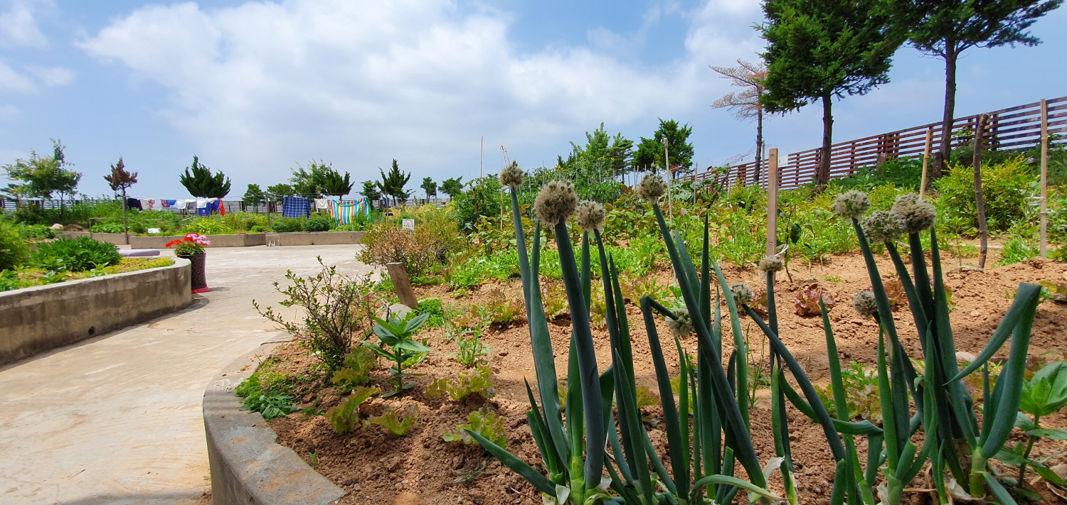 영종국제도시 믿음요양원 이미지 5