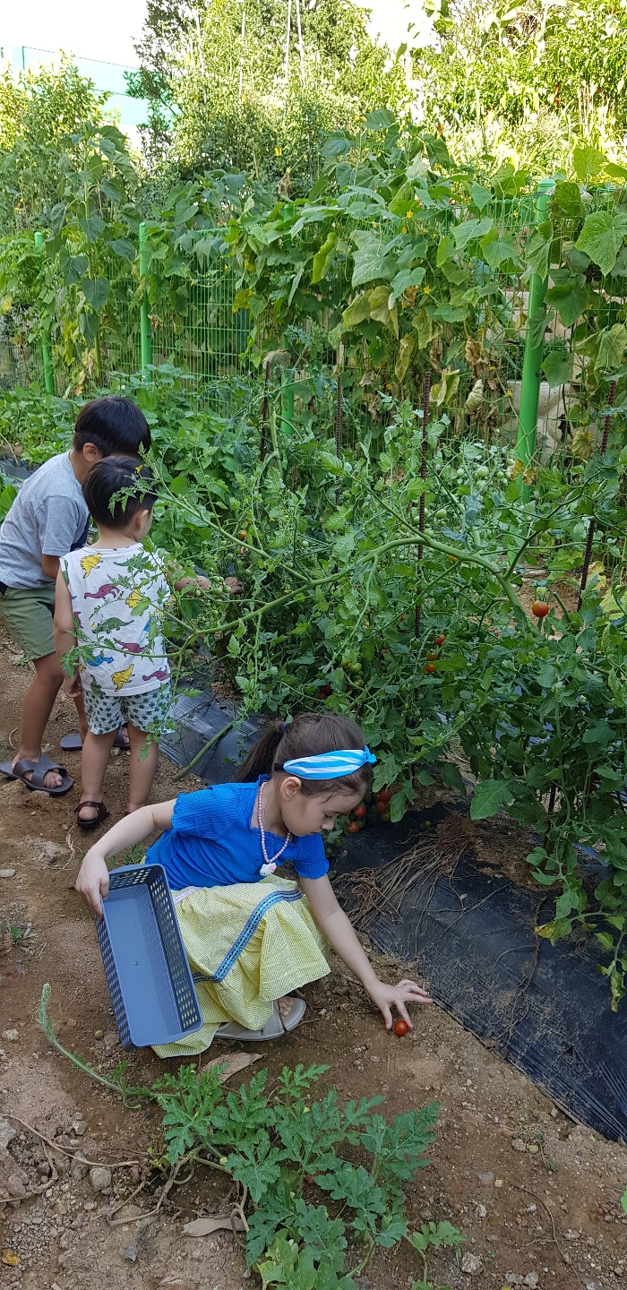 이화실버케어요양원 이미지 9