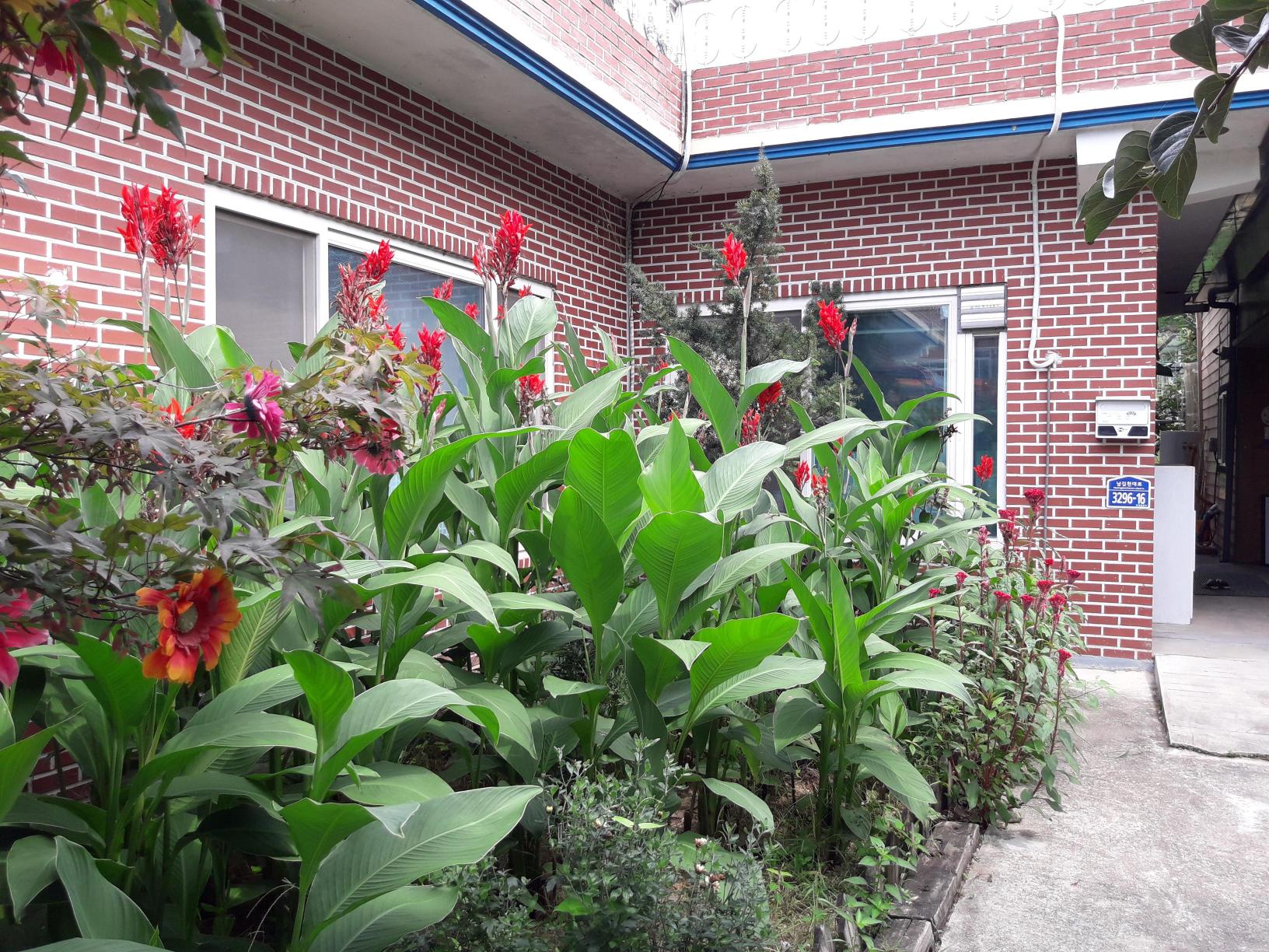 늘사랑요양원 이미지 3