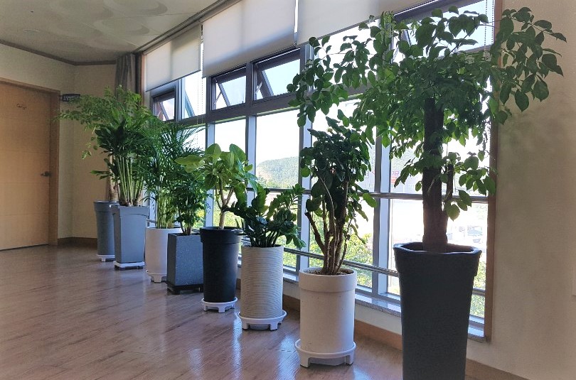 참사랑인지마을 이미지 8