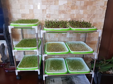 플로렌스 너싱홈 이미지 9