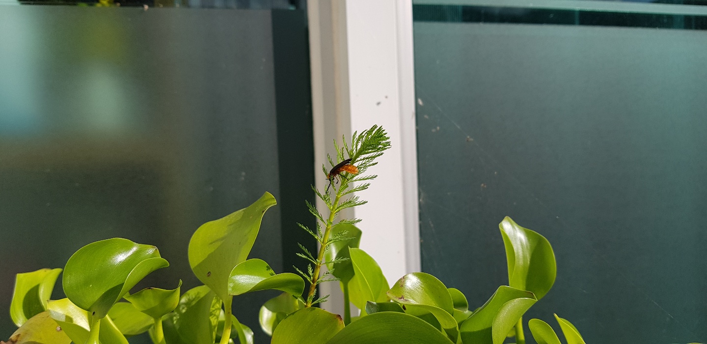 이화실버케어요양원 이미지 3