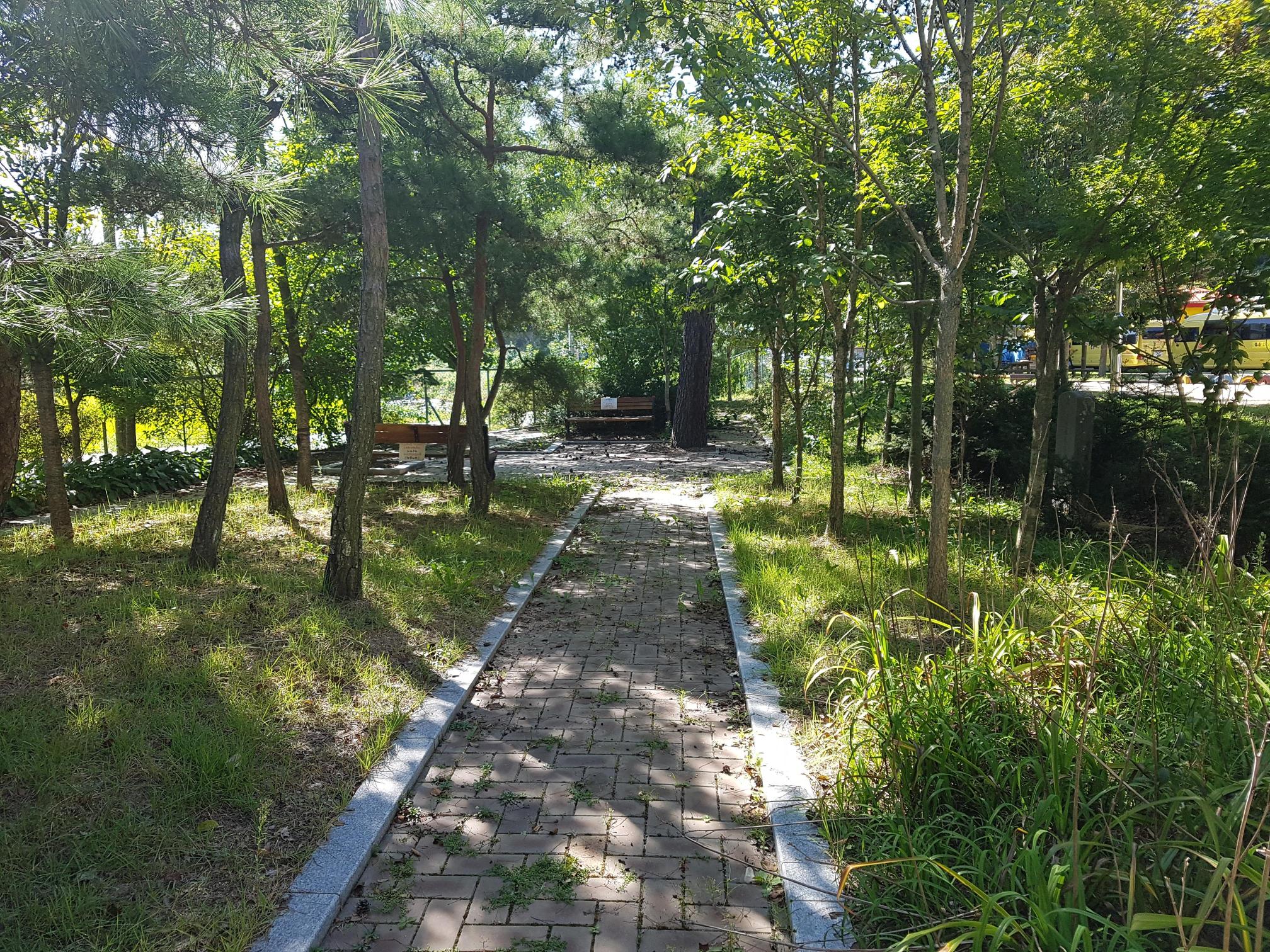 안동효마을 이미지 3