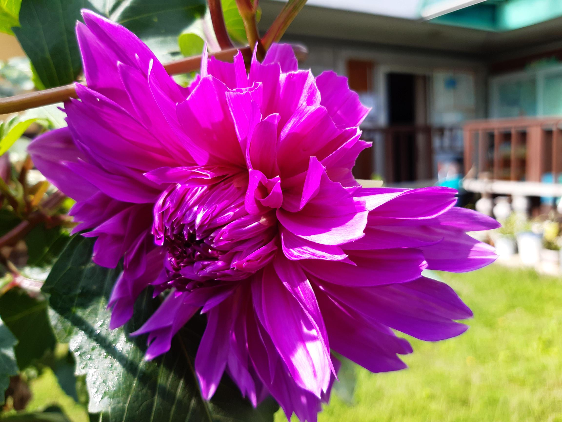 보문현대실버홈 이미지 3