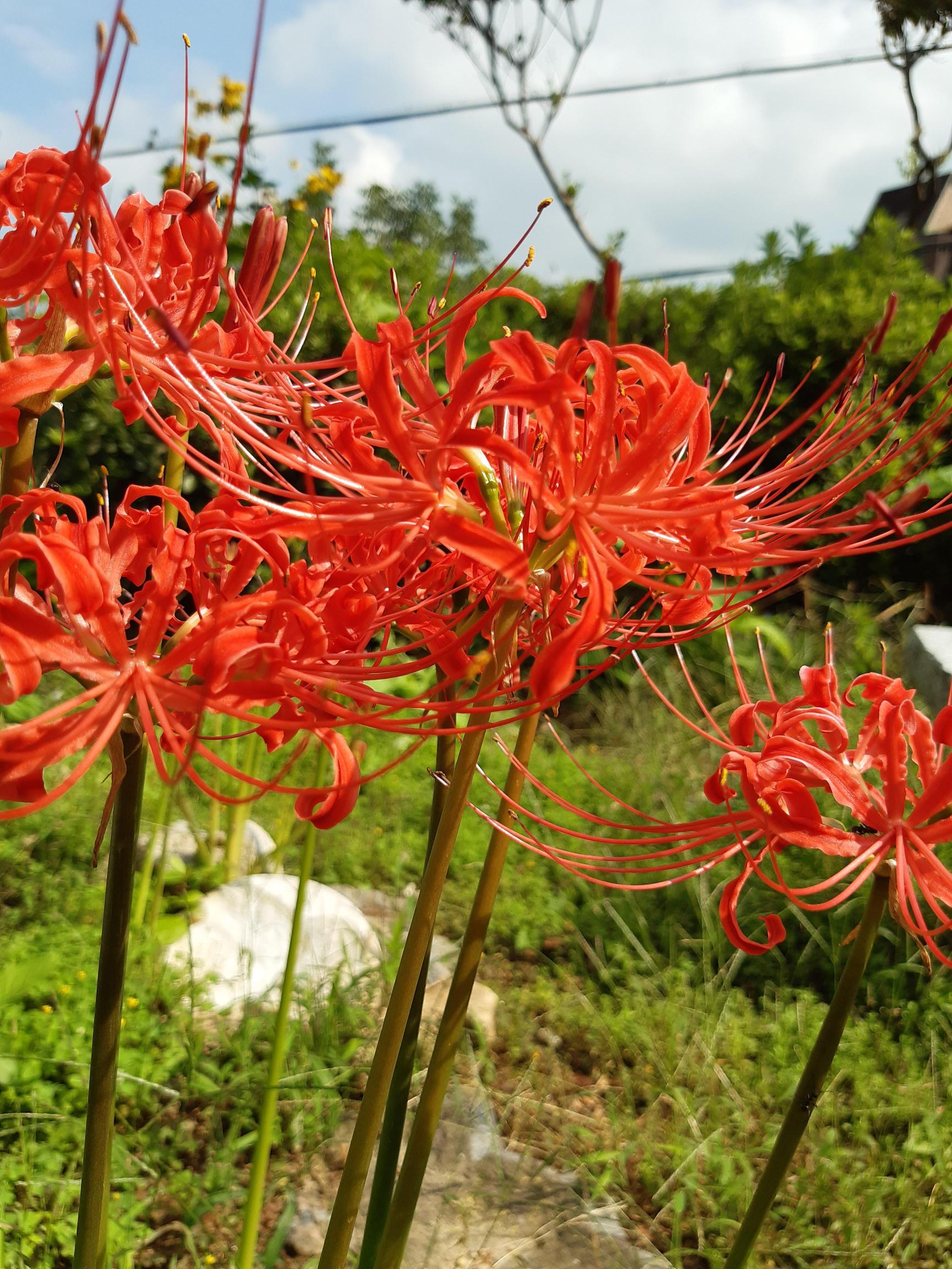 보문현대실버홈 이미지 2