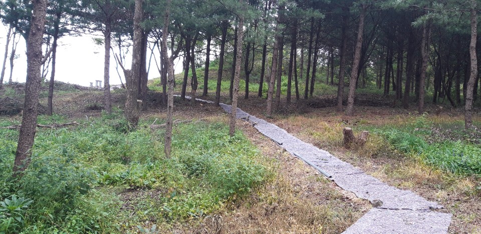 샬롬하우스요양원 이미지 2