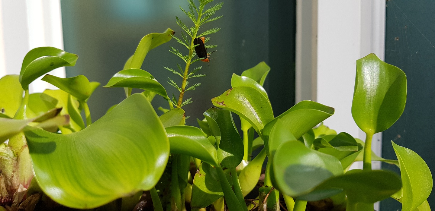 이화실버케어요양원 이미지 4