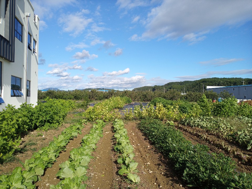 영천행복마을요양원 이미지 4