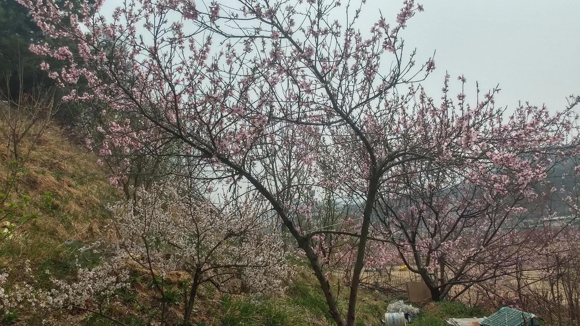 송천실버홈 이미지 4