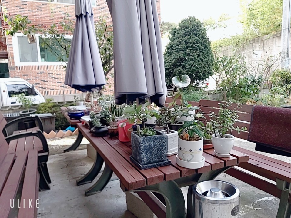 미소실버홈 이미지 7