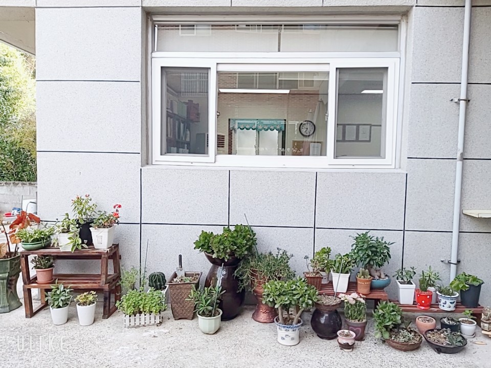 미소실버홈 이미지 6