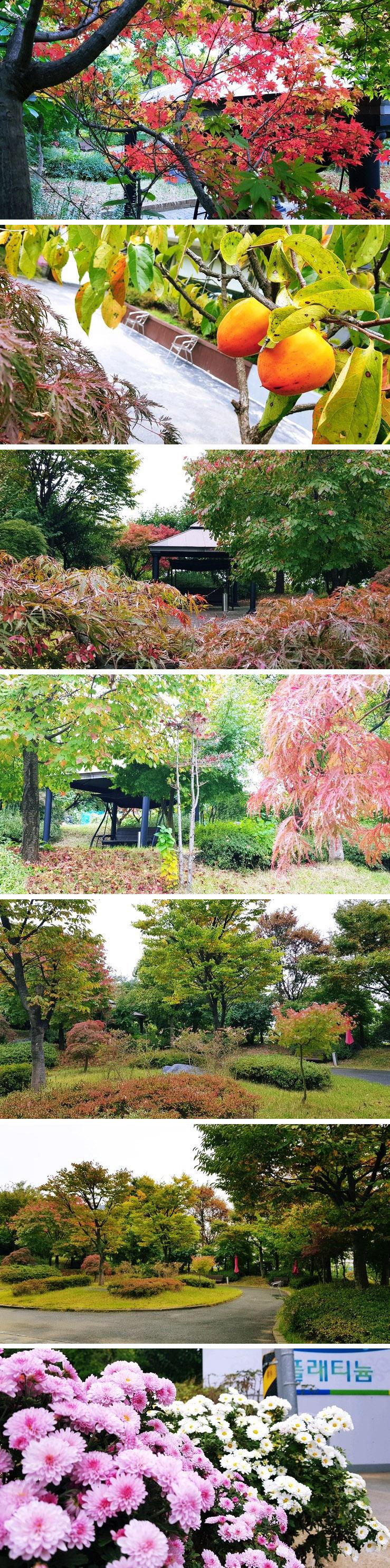 플래티늄 이미지 16