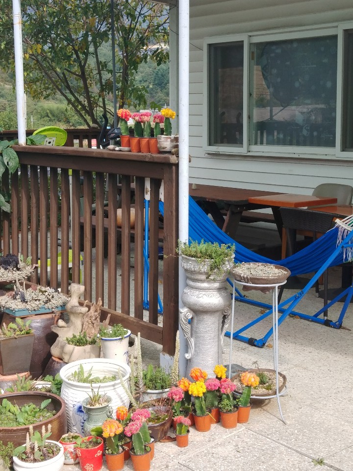 소망의집 이미지 15