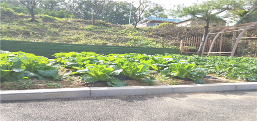 꽃마루요양원 이미지 20