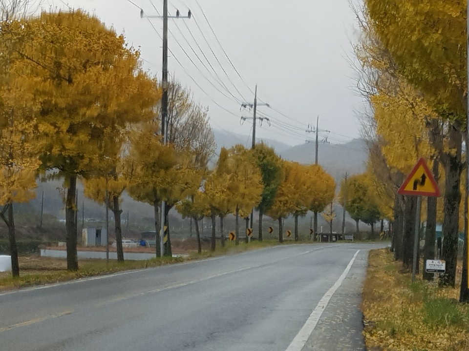해바라기요양원 이미지 6