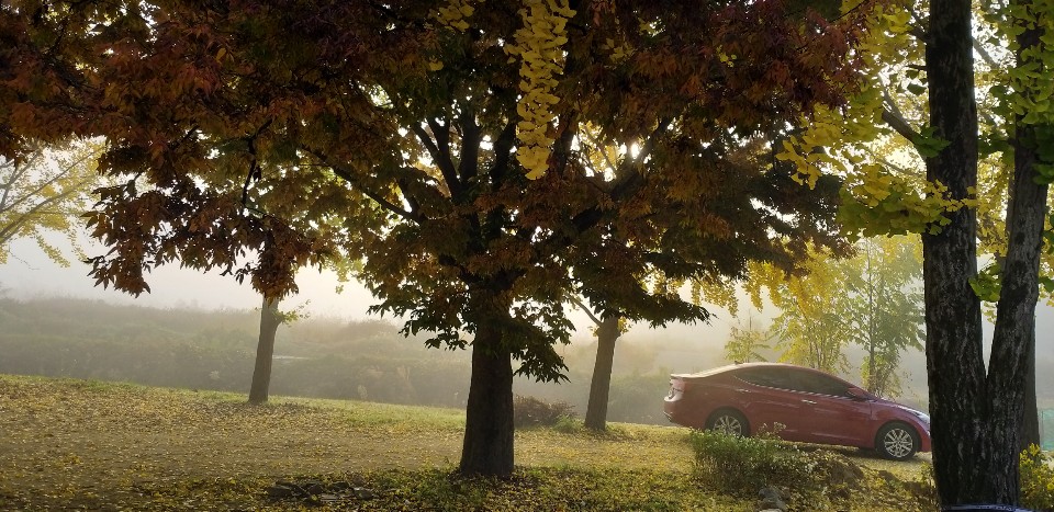 해바라기요양원 이미지 5